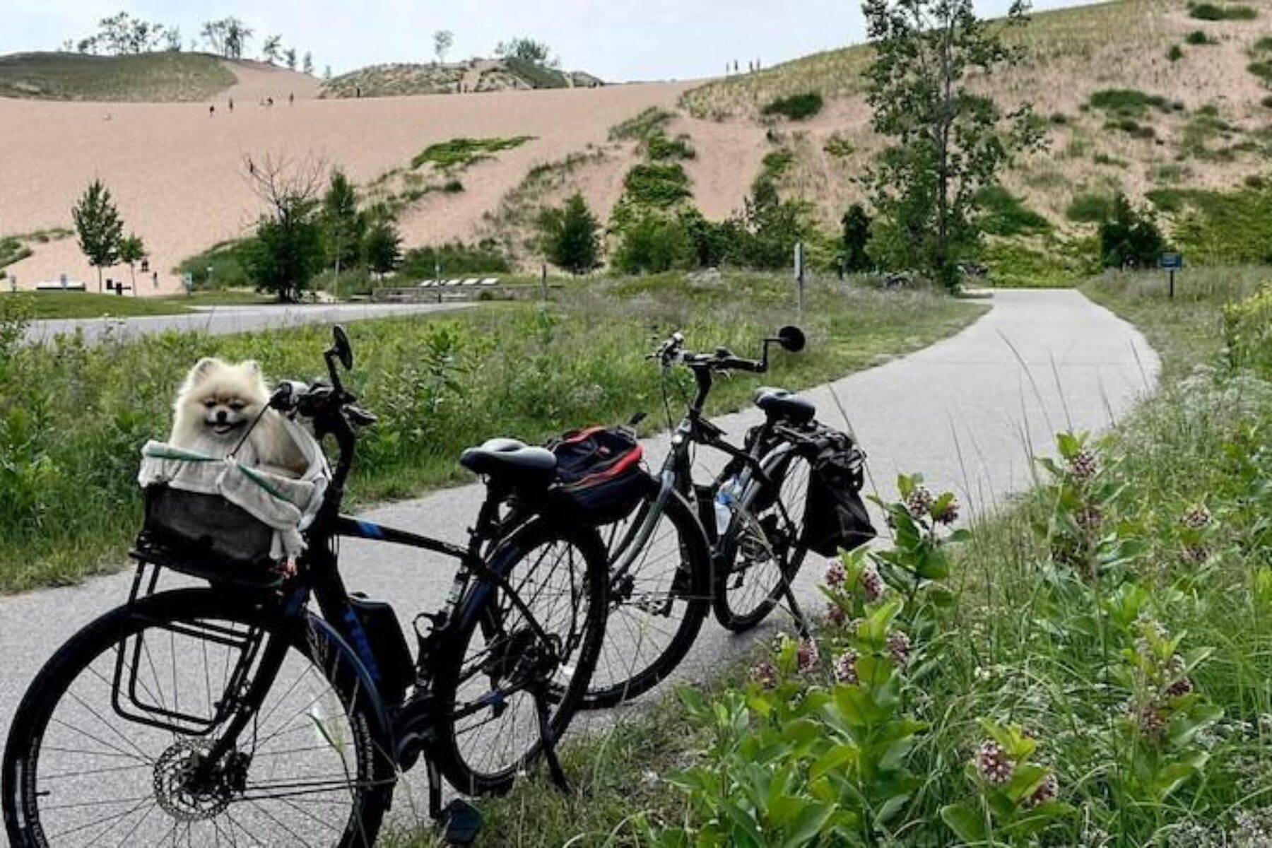 The serene journey through Sleeping Bear Heritage Trail, encapsulating Michigan's natural wonders.