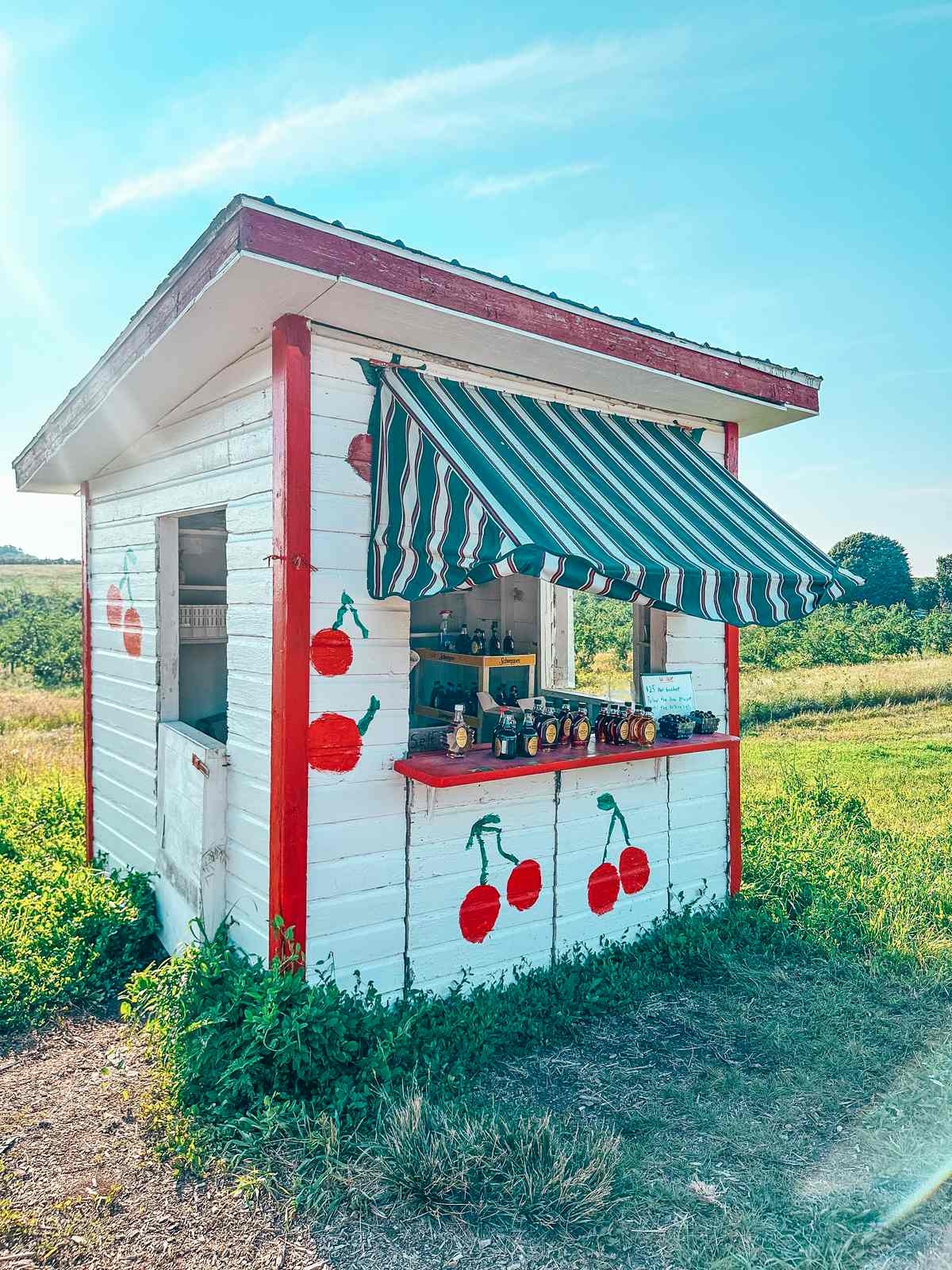 Experience the joy of picking your own cherries at a U-Pick stand in the beautiful Old Mission Peninsula.